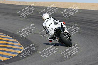 media/Feb-04-2023-SoCal Trackdays (Sat) [[8a776bf2c3]]/Turn 10 Backside (1010am)/